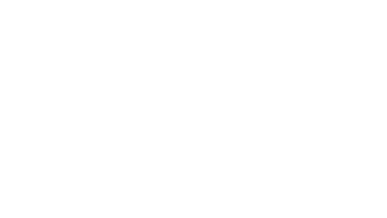 Ottika
